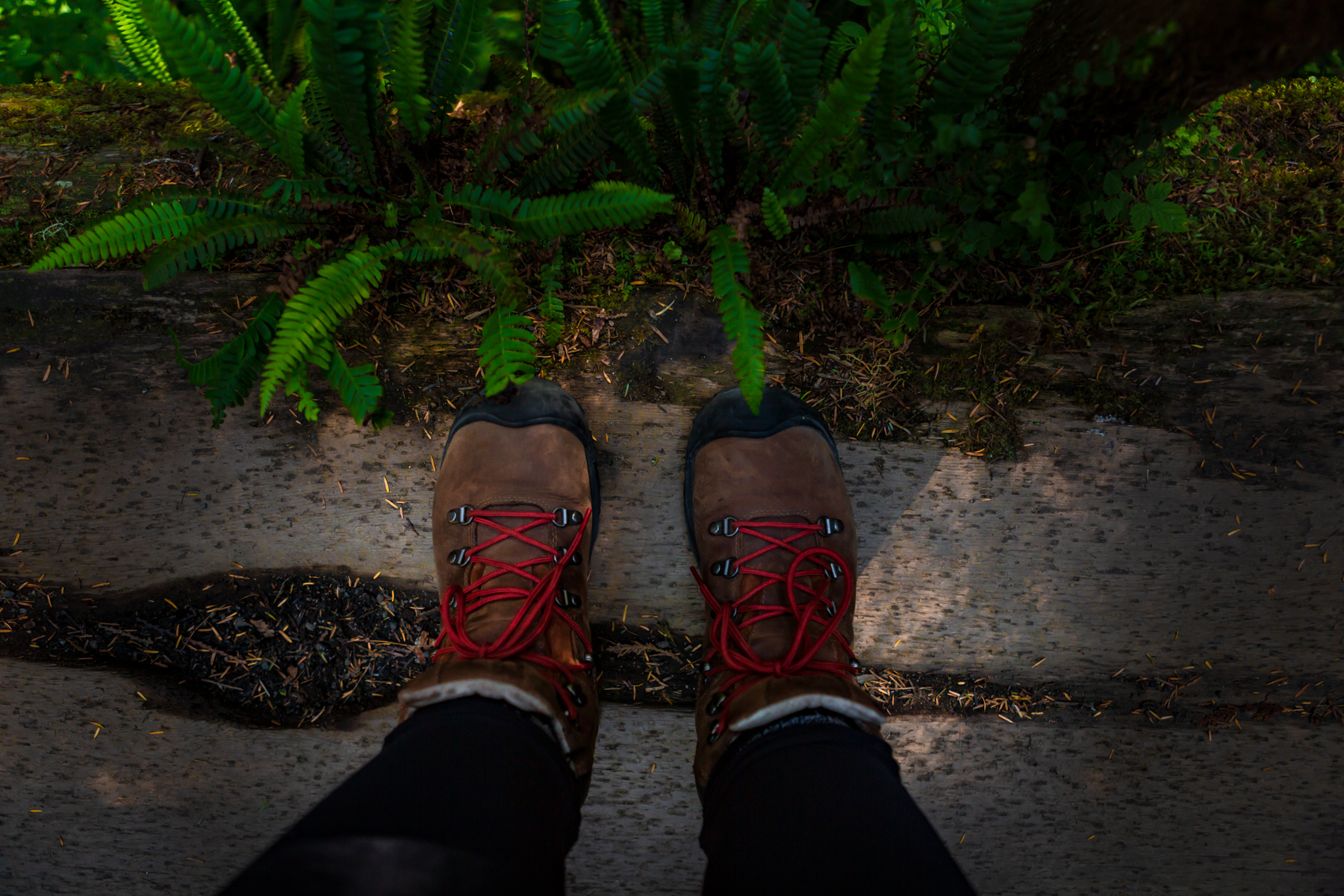 GEAR REVIEW: KEEN PYRENEES HIKING BOOT 